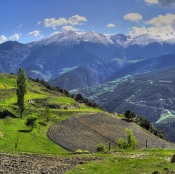 Andora
