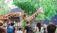 Zoo Wrocław (fot. zoo.wroclaw.pl)