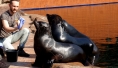 Wrocław ZOO